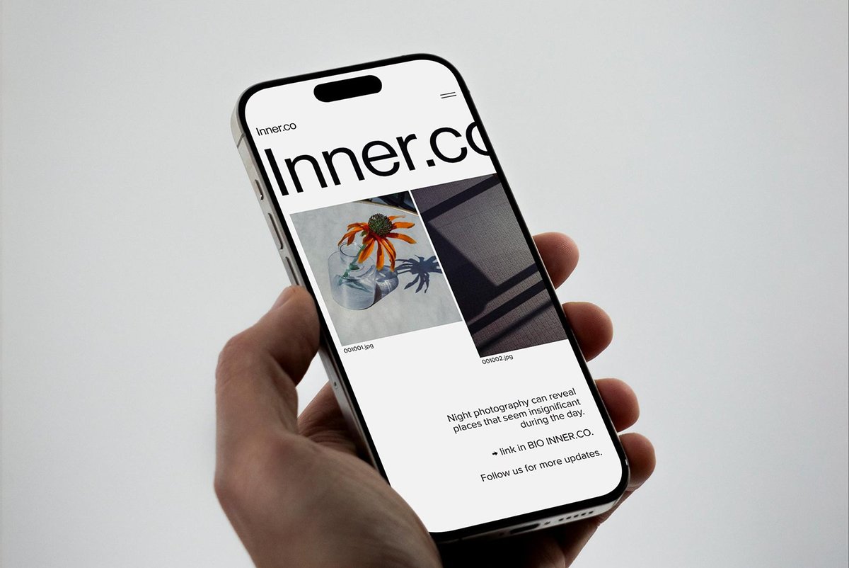 Professional logo design